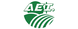 AEI
